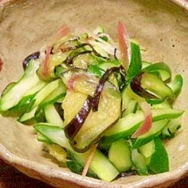 茄子とキュウリの塩昆布揉み レシピ 作り方 By ブルーボリジ 楽天レシピ 茄子とキュウリの塩昆布揉み レシピ 作り方 By ブルーボリジ 楽天レシピ